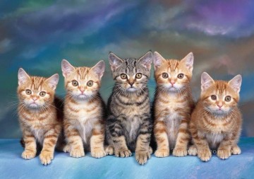 gatos Pintura - una fila de gatos
